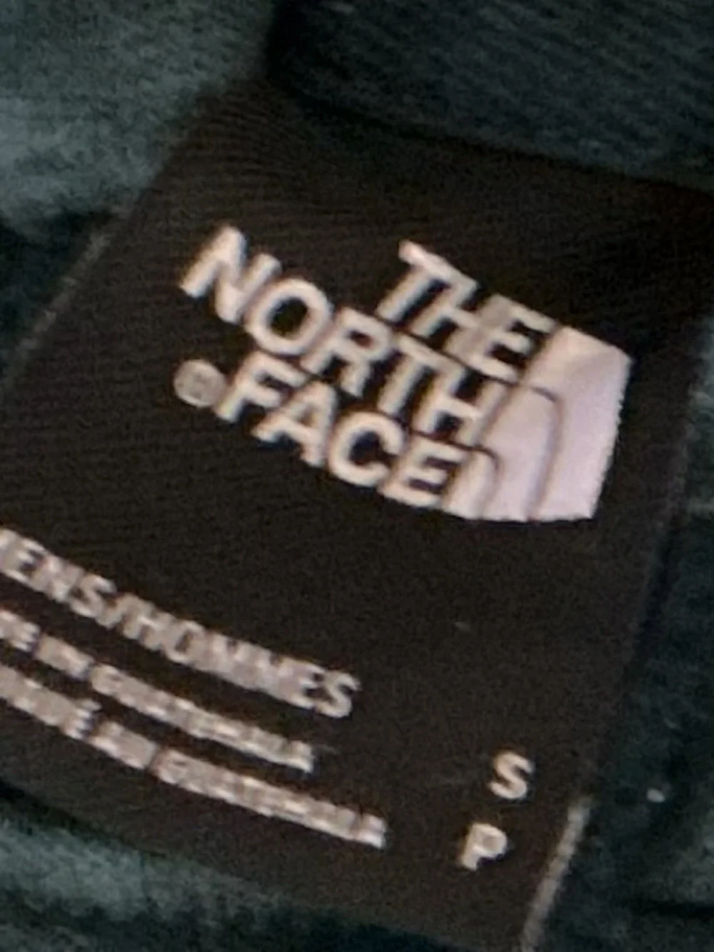 North Face Thick Hoodie